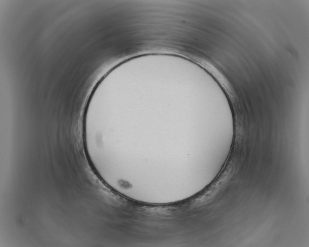 X0000111591004200908131336