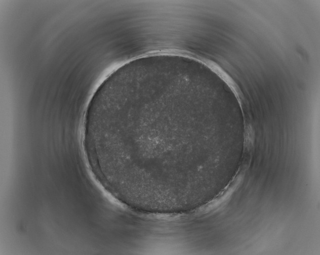 X0000111591005200908131336