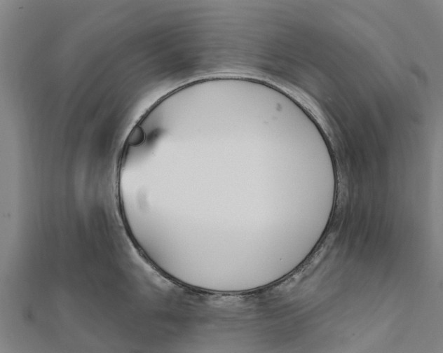 X0000111591006200908131336