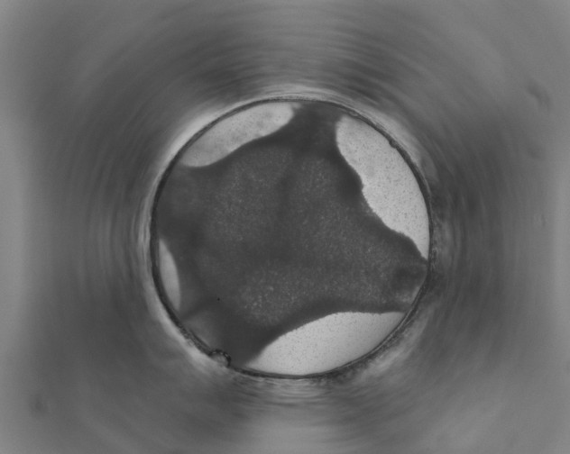X0000111591007200908131336