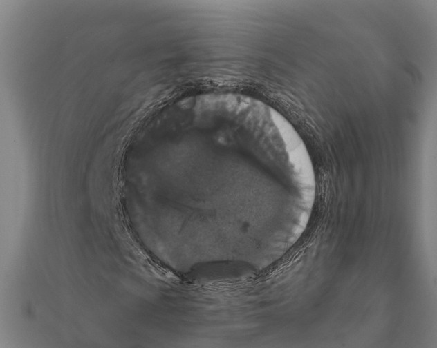 X0000111591009200908131336