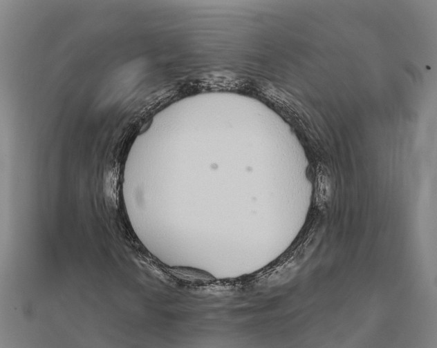 X0000111591010200908131336