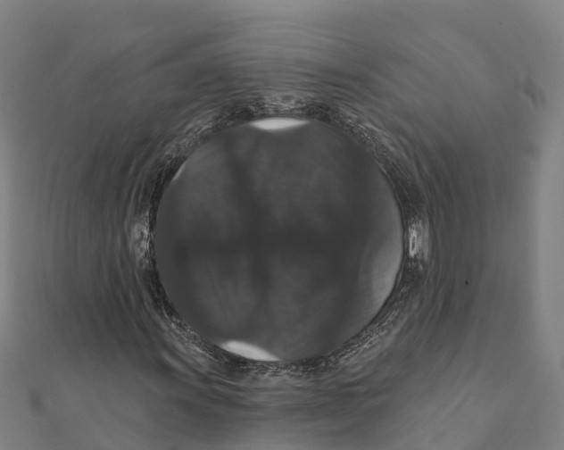 X0000111591011200908131336