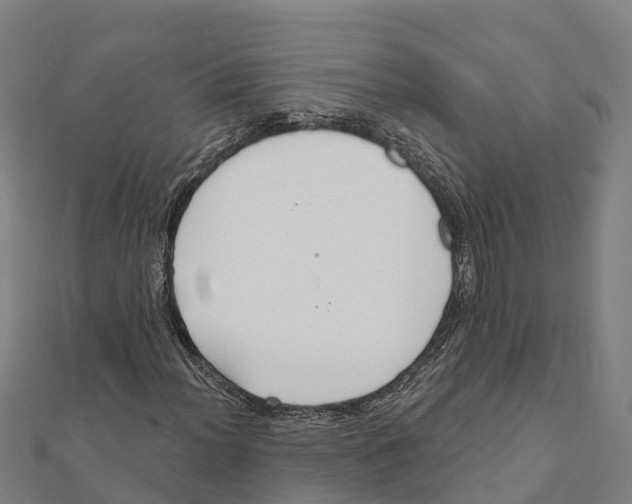 X0000111591012200908131336