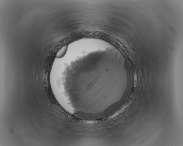 X0000111591013200908131336