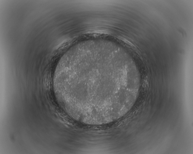 X0000111591014200908131336