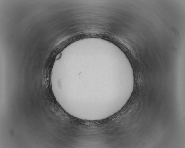 X0000111591015200908131336