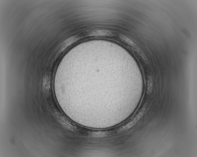 X0000111591017200908131336