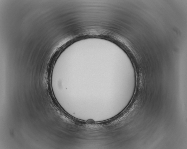 X0000111591018200908131336