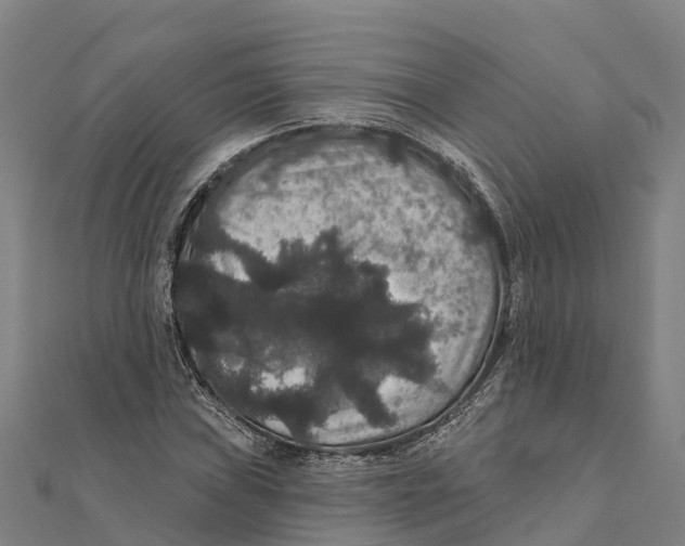 X0000111591019200908131336