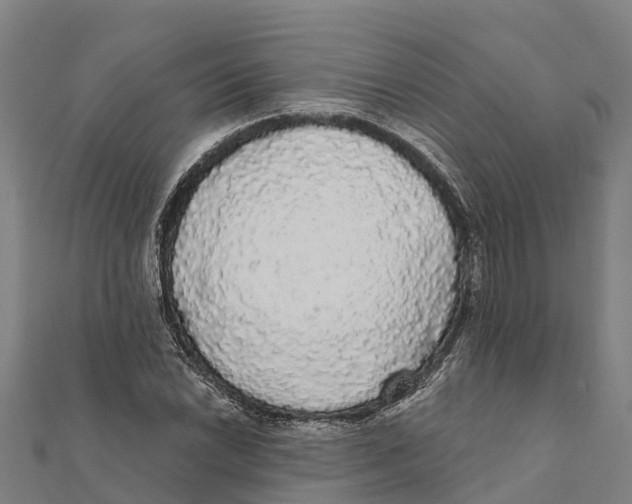 X0000111591022200908131336