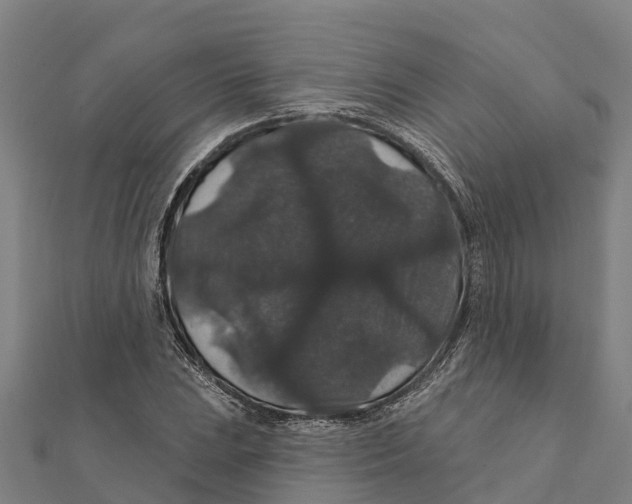 X0000111591023200908131336