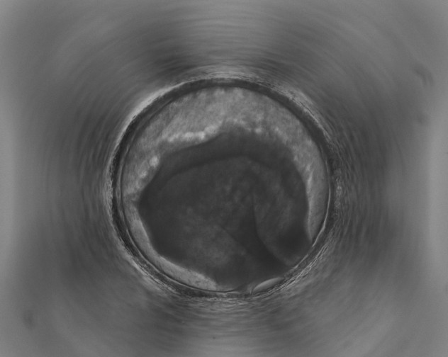 X0000111591024200908131336