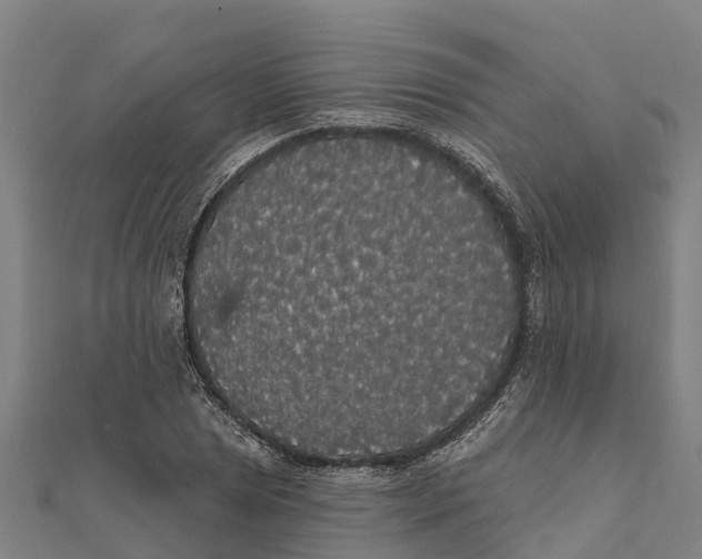 X0000111591025200908131336