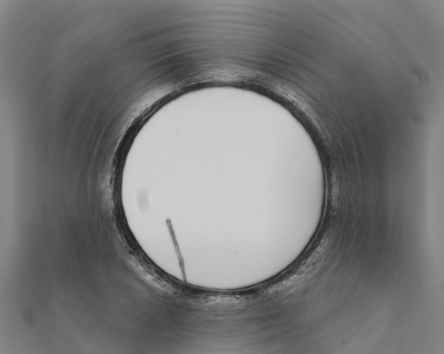 X0000111591026200908131336