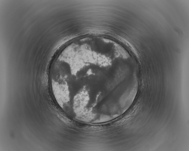 X0000111591027200908131336