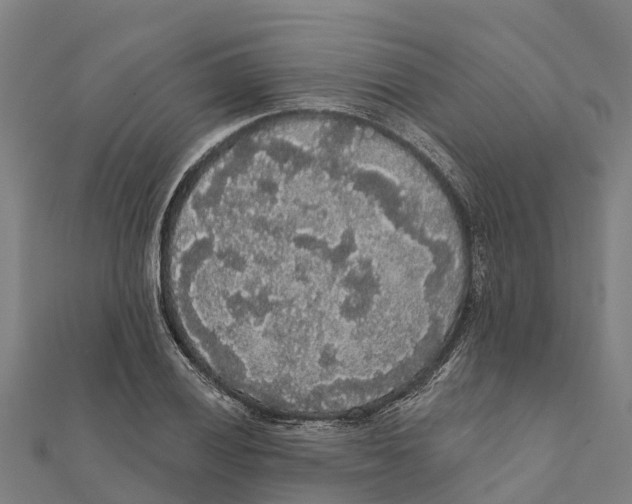X0000111591028200908131336
