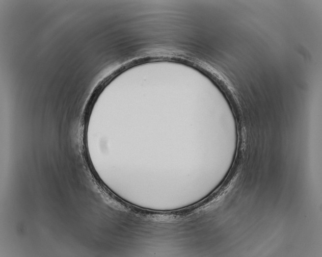 X0000111591029200908131336