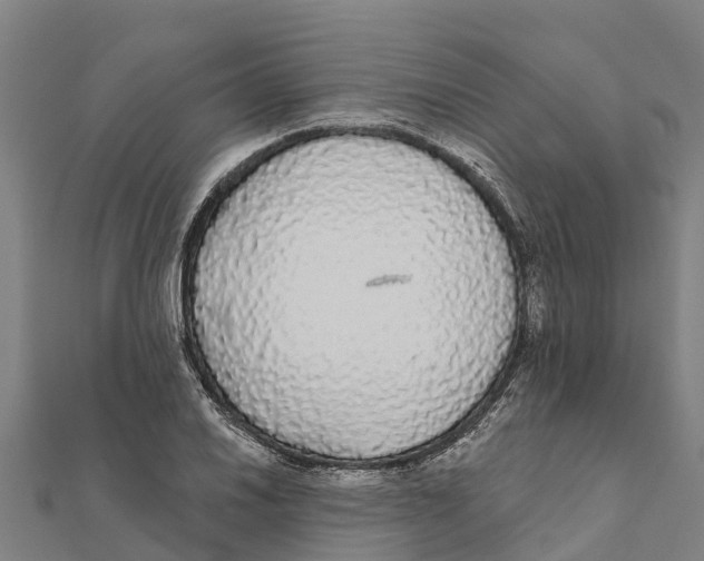 X0000111591030200908131336