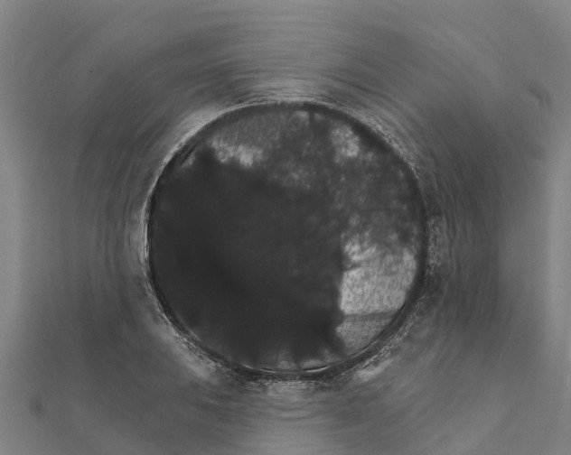 X0000111591031200908131336