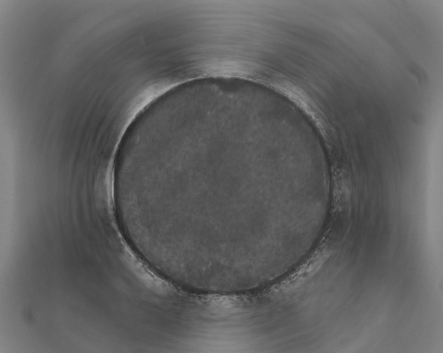 X0000111591032200908131336