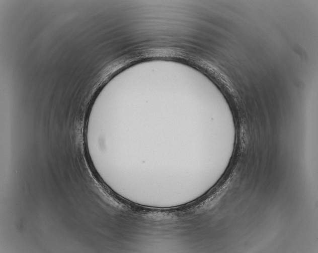 X0000111591033200908131336