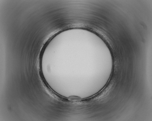 X0000111591034200908131336