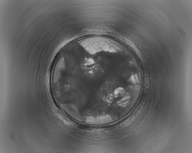 X0000111591035200908131336