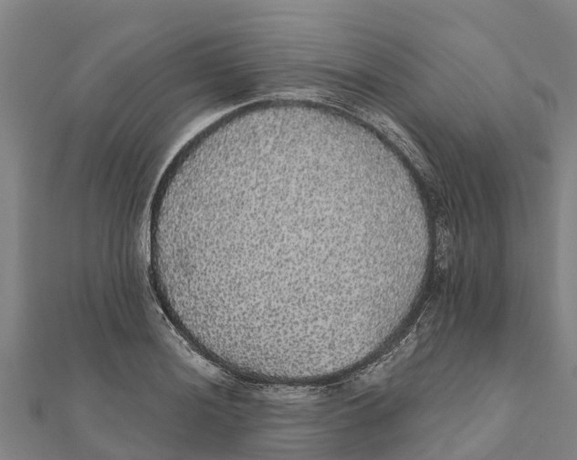 X0000111591036200908131336