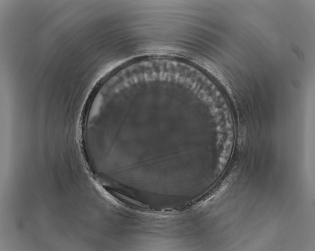 X0000111591037200908131336