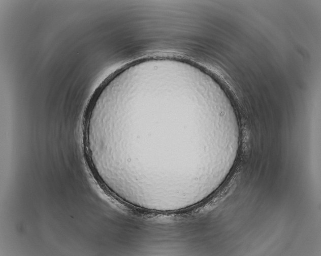 X0000111591038200908131336