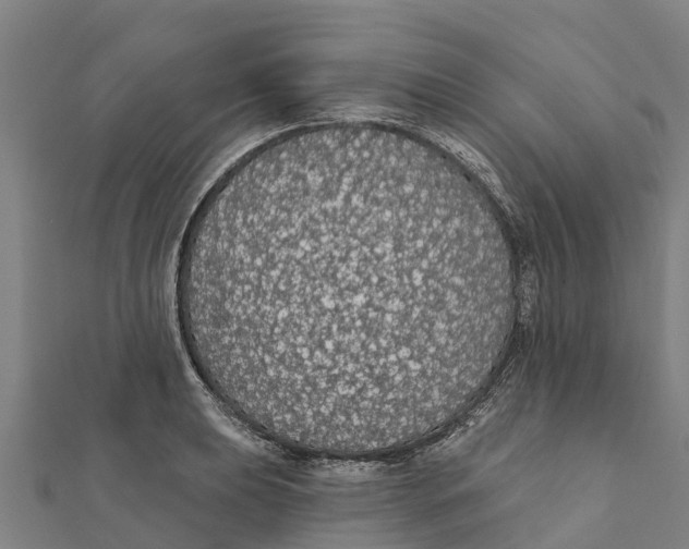 X0000111591039200908131336