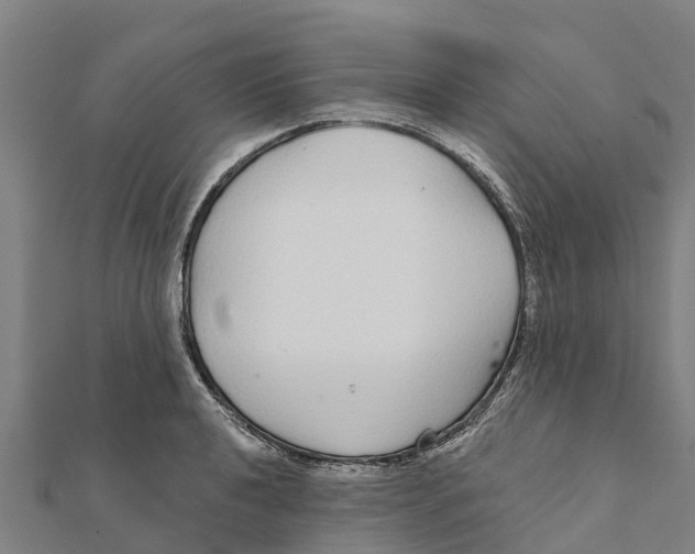 X0000111591040200908131336