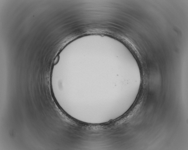 X0000111591041200908131336