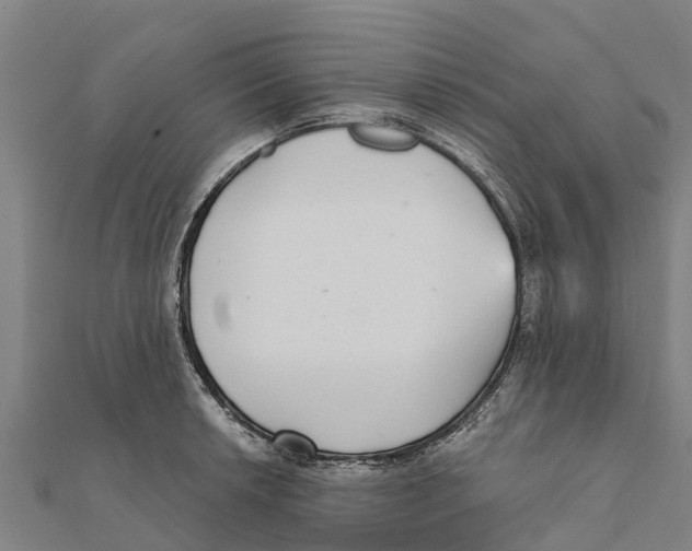 X0000111591042200908131336