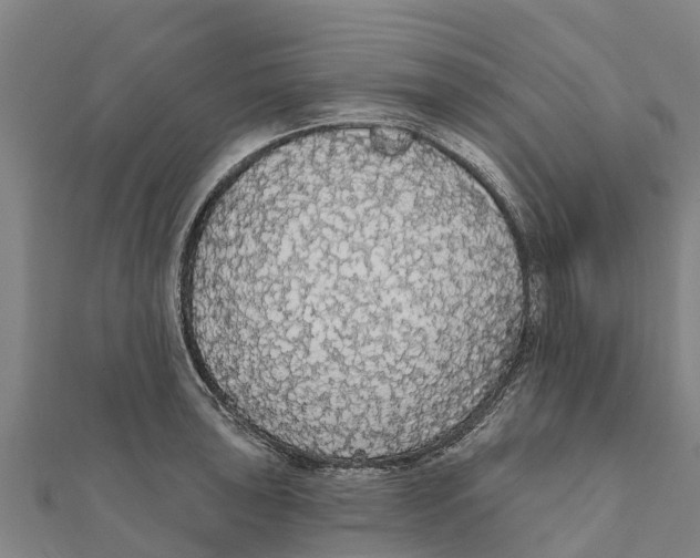 X0000111591043200908131336