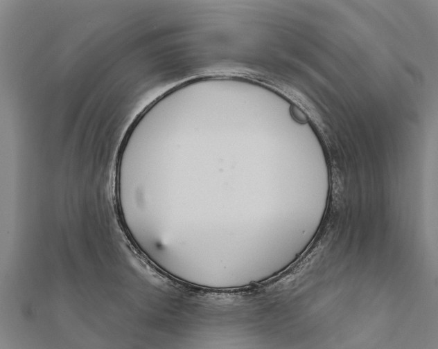 X0000111591044200908131336