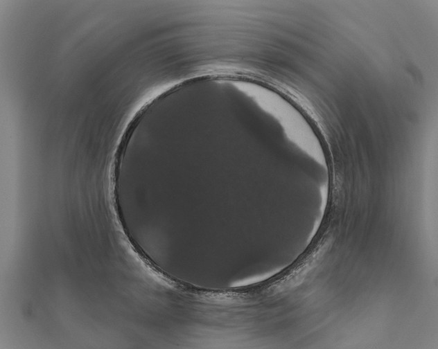 X0000111591045200908131336
