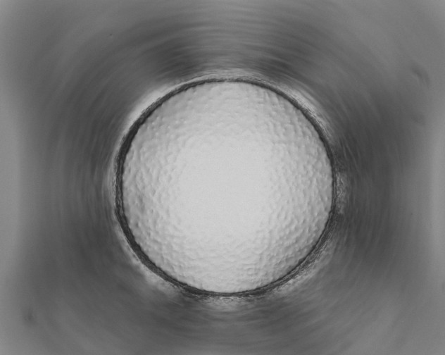 X0000111591046200908131336