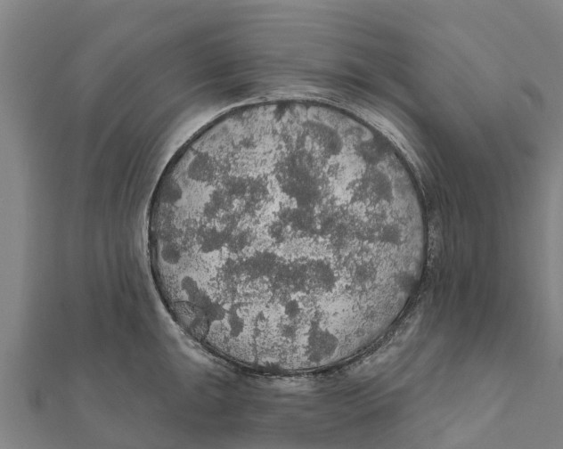 X0000111591047200908131336