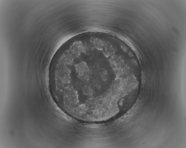 X0000111591048200908131336