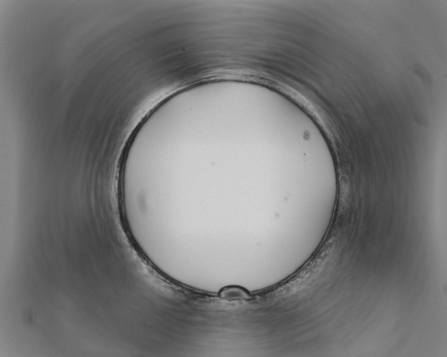 X0000111591050200908131336