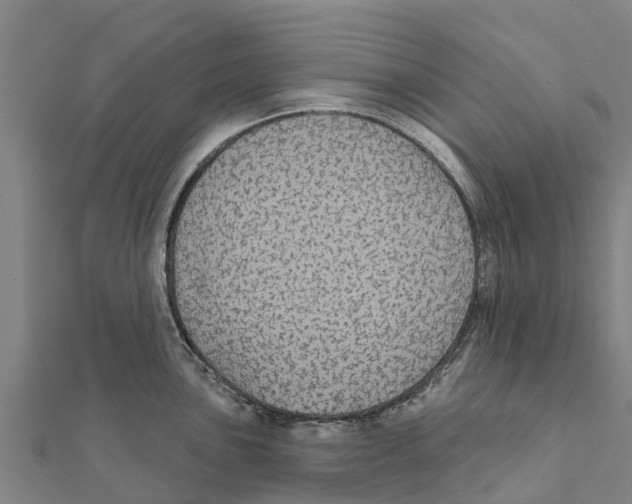 X0000111591051200908131336