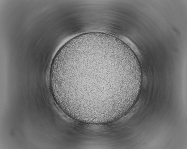 X0000111591052200908131336