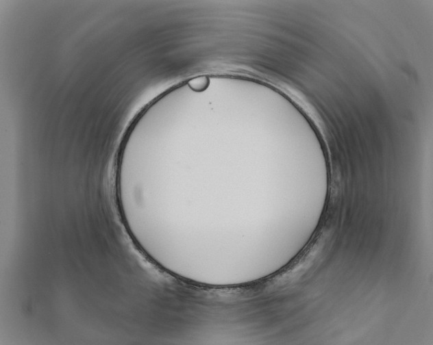 X0000111591053200908131336