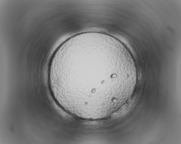 X0000111591054200908131336
