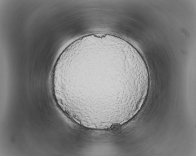 X0000111591056200908131336