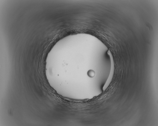 X0000111591057200908131336