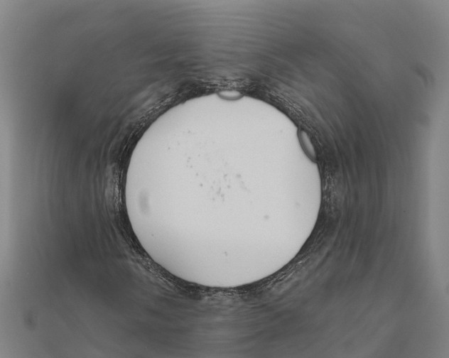 X0000111591058200908131336