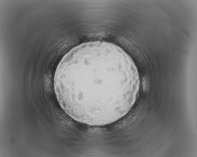 X0000111591059200908131336